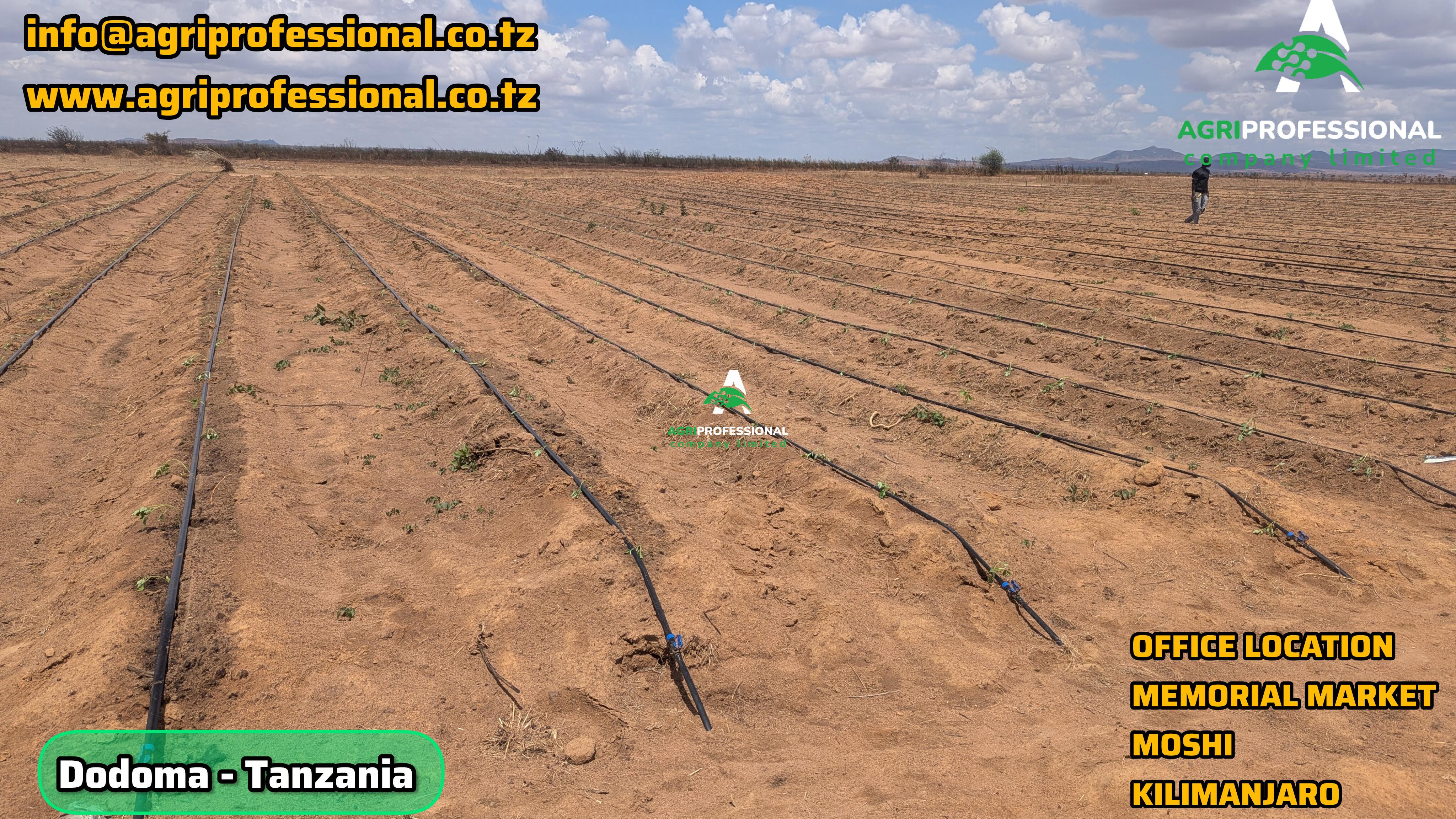 DODOMA - TANZANIA(NDALIBO - 02).jpg