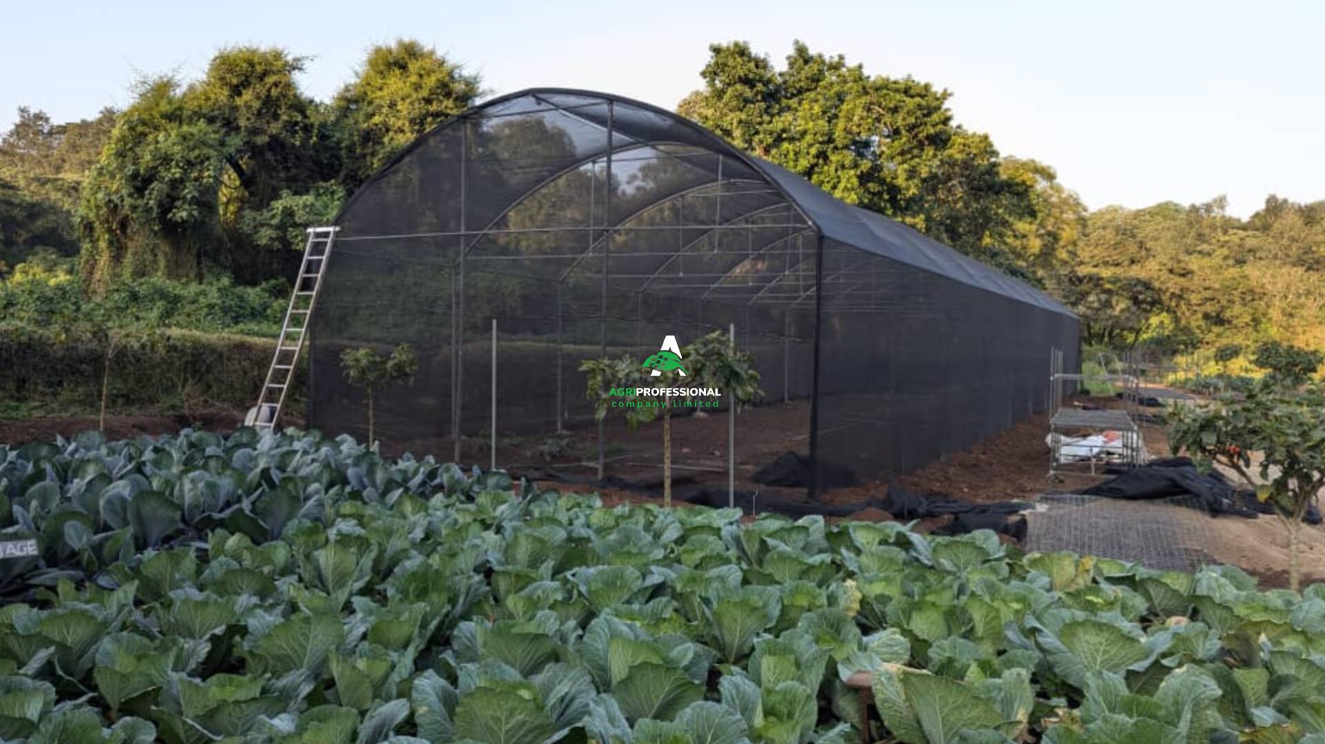 GIBBS FARM KARATU - TANZANIA(01).jpg