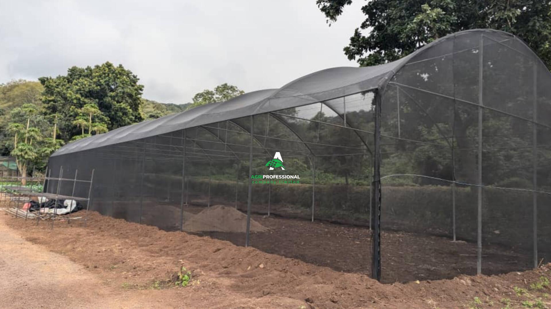 GIBBS FARM KARATU - TANZANIA(02).jpg