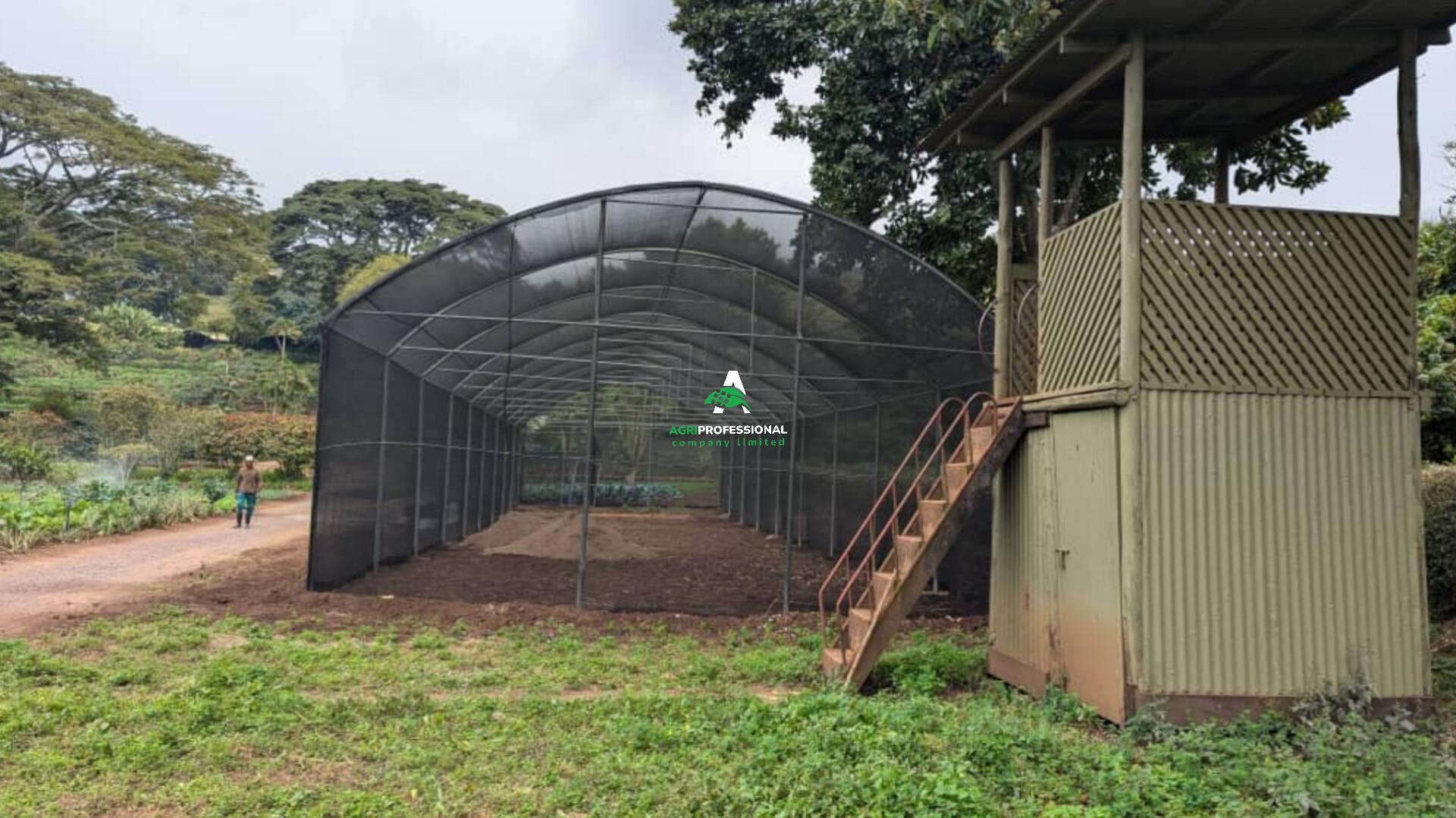 GIBBS FARM KARATU - TANZANIA(03).jpg