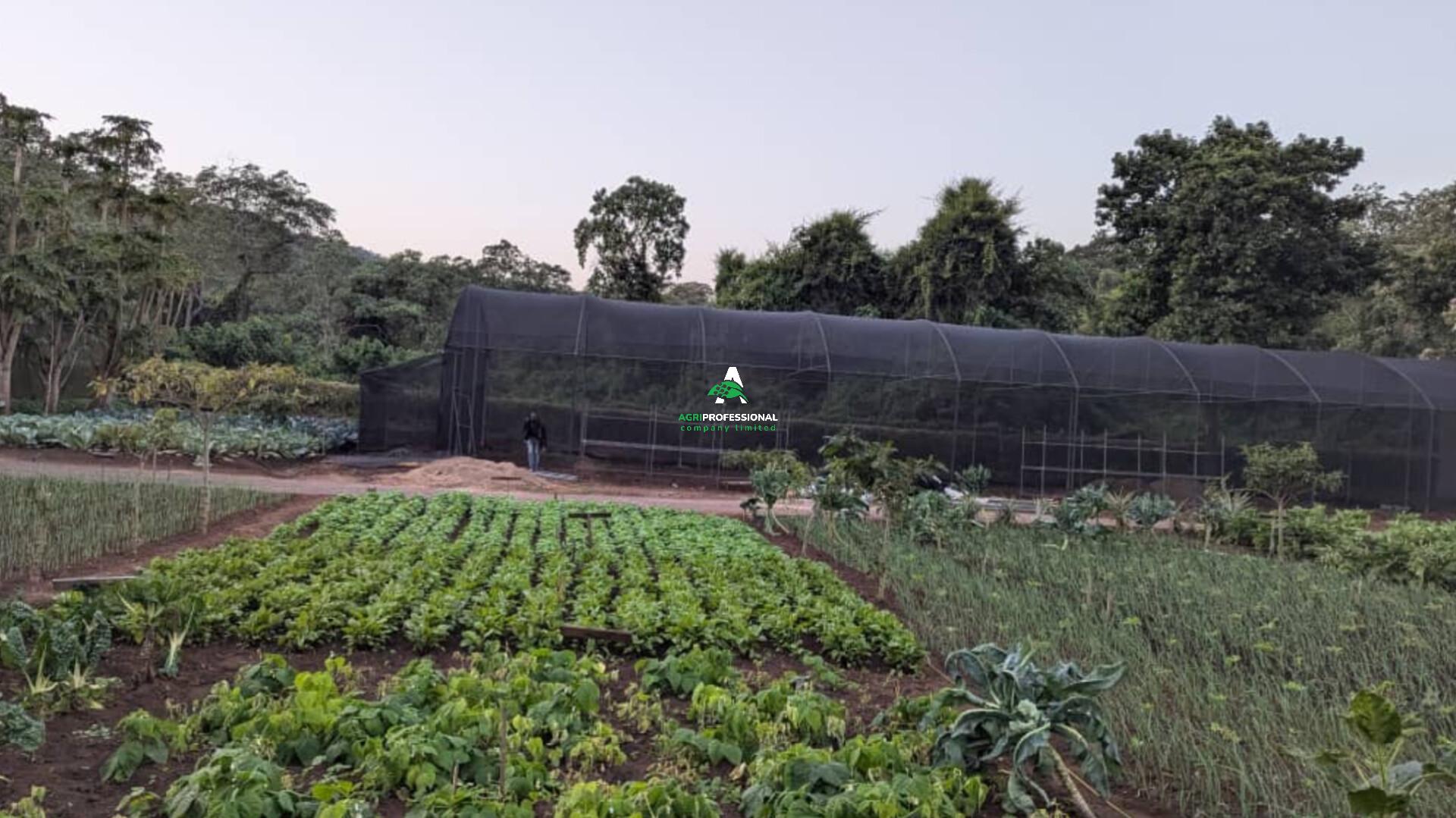 GIBBS FARM KARATU - TANZANIA(04).jpg